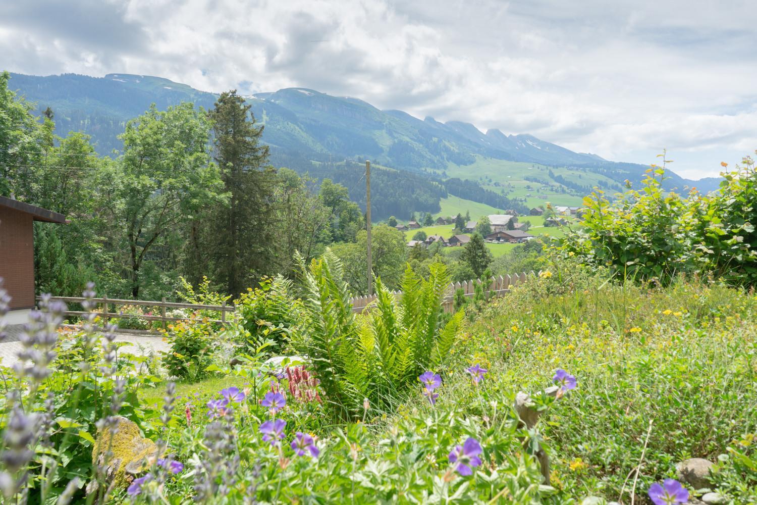Wiesel Wildhaus Εξωτερικό φωτογραφία